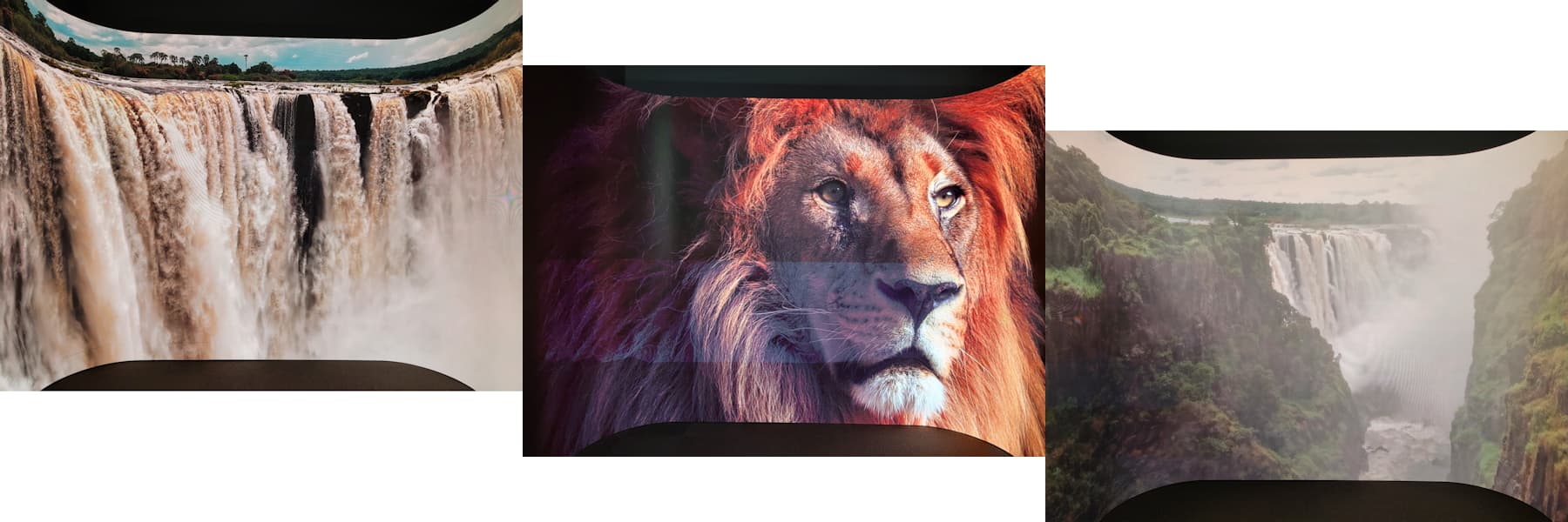 万博当日12時台の行程(コモンズBのシンバブエ)