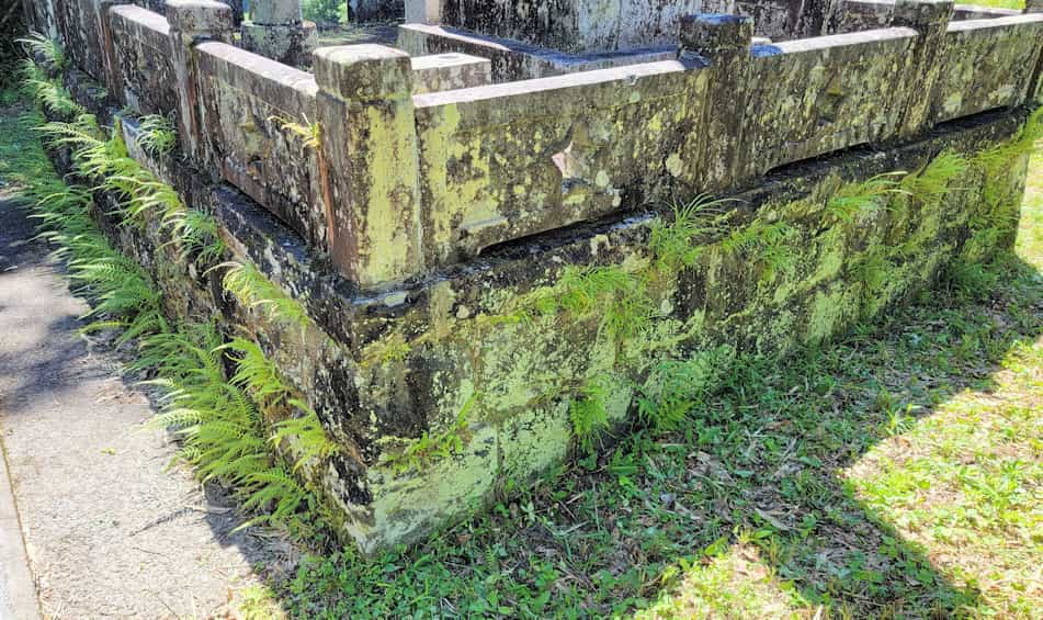 ハダノ式除草作業でメンテナンスフリー