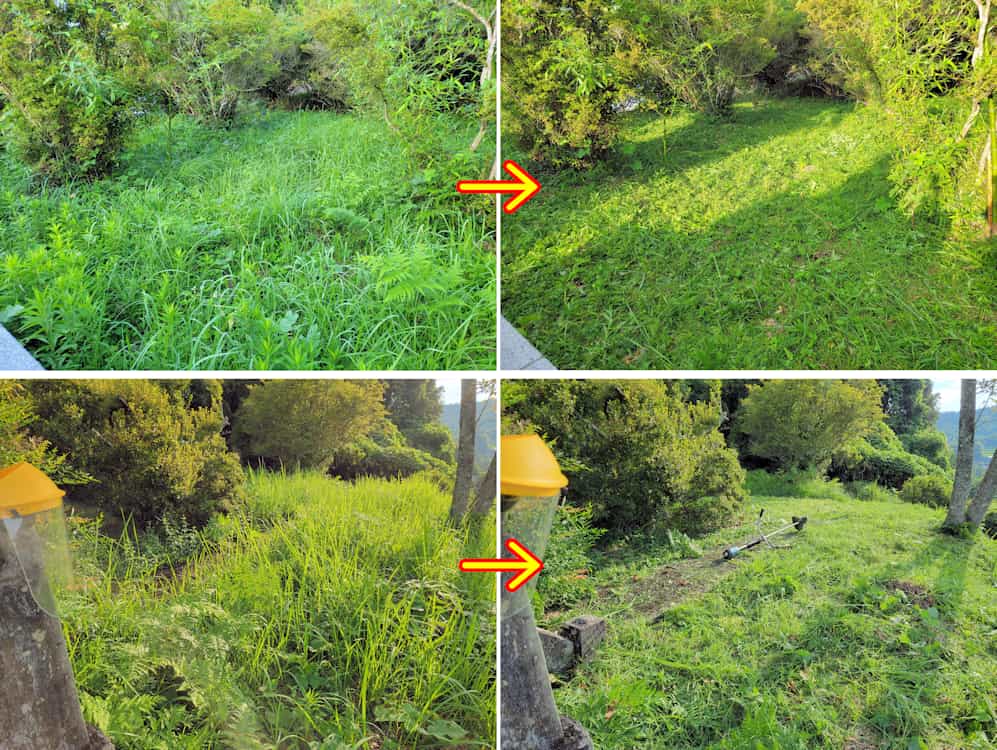 充電式草刈機での作業例