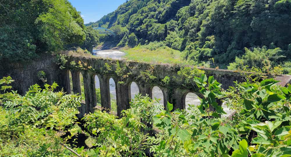 田舎では植物しか勝たん3