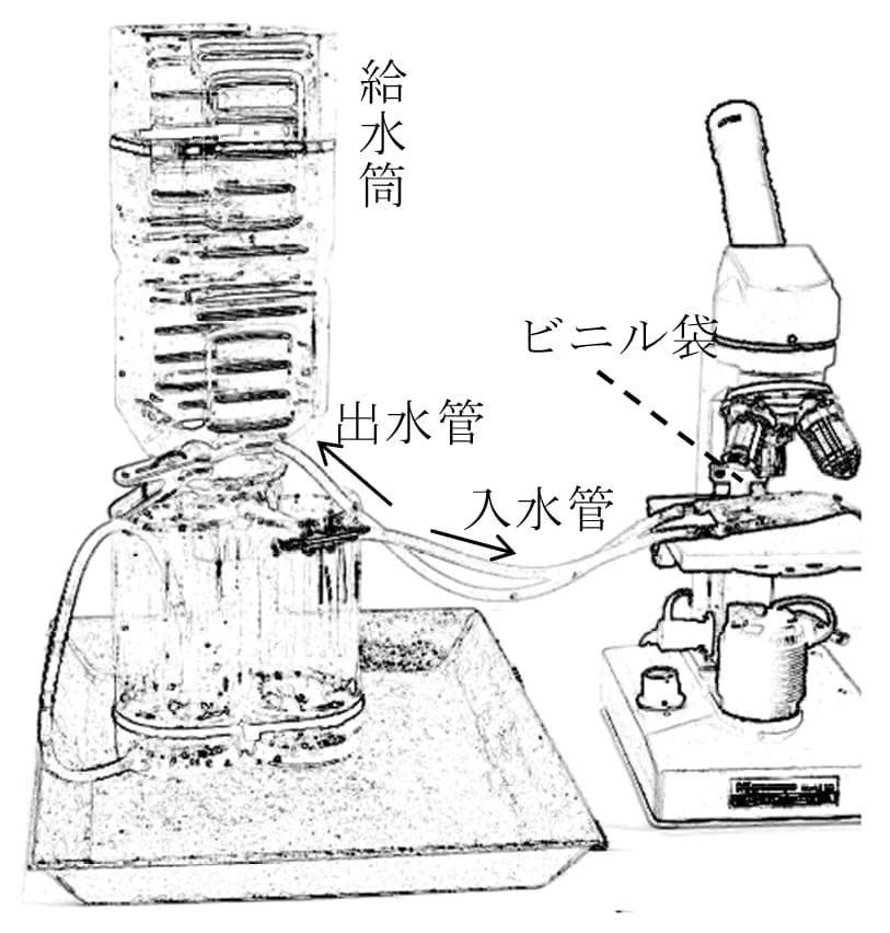 メダカの生命維持装置
